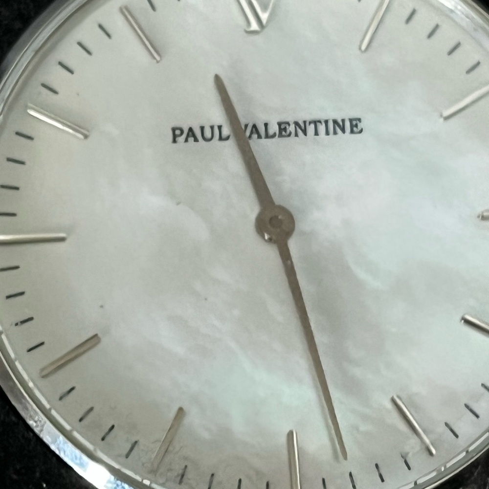 Paul Valentine Silver Mesh Watch with small screw driver